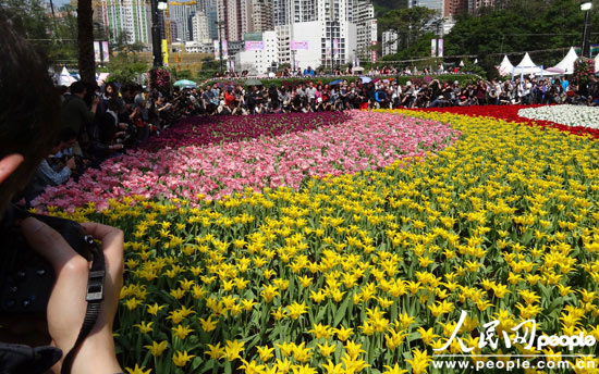 组图：香港花卉展开幕 市民踊跃体验“花之旅”